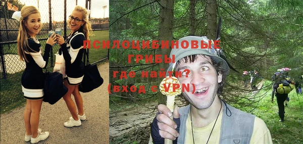 гашиш Инсар