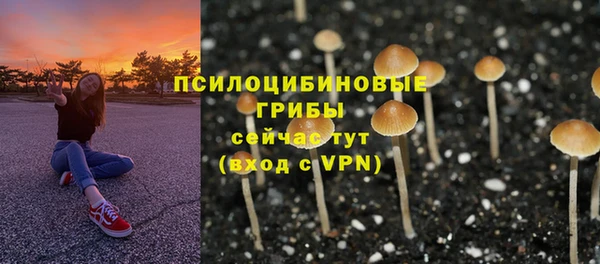 альфа пвп Инта